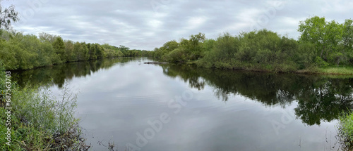 Water in a resaca in Resaca de la Palm State Park, Txas