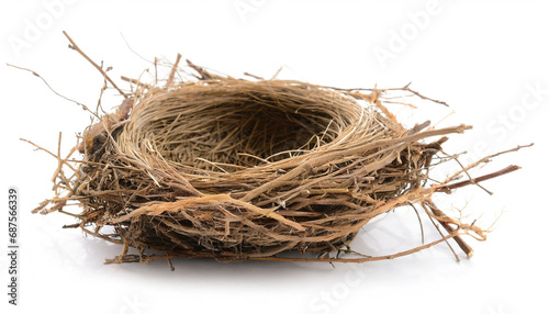 Bird's nest isolated on white background, cutout photo