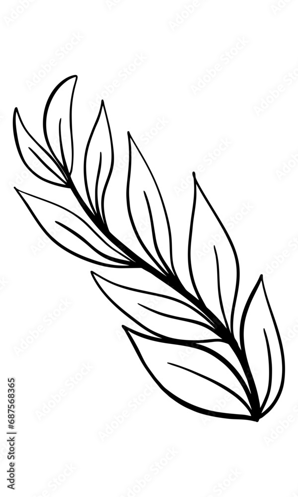 Fototapeta premium black and white leaves