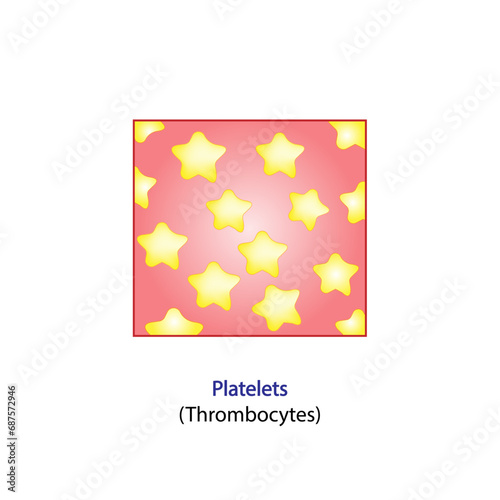 Platelets, thrombocytes. Vector illustration.
