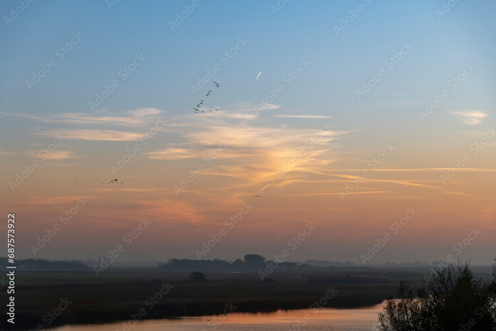 Panoramic sunset view over meadows on the island of Texel in the Netherlands with flocks of birds flying in V shape formation against an orange coloring sky and orange reflection in water