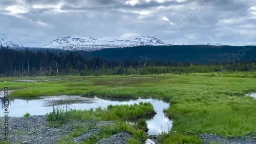 Ghost Forest near Turnagain Arm in Alaska. Near Girdwood, travelers can see the remains of trees whose roots were swamped with salt water and killed during the 1964 Earthquake. Riding Alaska Railroad. photo