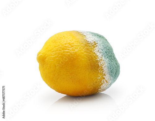 Moldy lemon isolated on white background. Blue textured mold. Rotten stale fruit.        photo