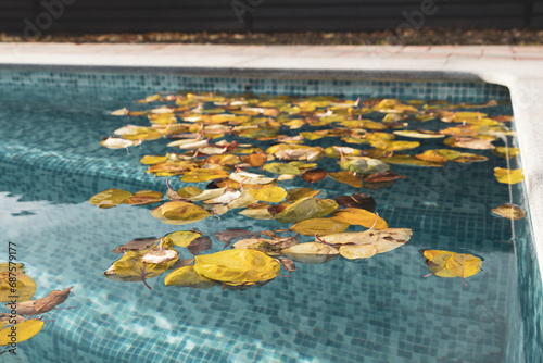 A vibrant carpet of autumn leaves gracefully floats on the still surface of the pool, creating a  tapestry of warm hues. It's a fleeting moment of seasonal artistry where nature paints its beauty.