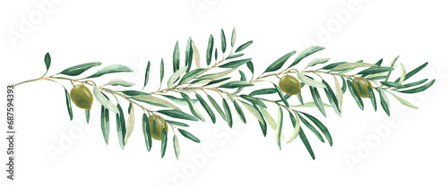 Olive branch with green olives isolated on white background. Watercolor hand drawn botanical illustration. For cards, logos and food design