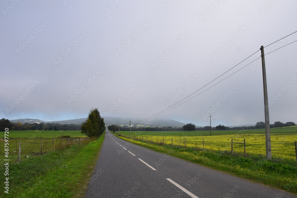 Fog dissapearing in the distance in a rural setting with a road with yellow flowers, south of europe