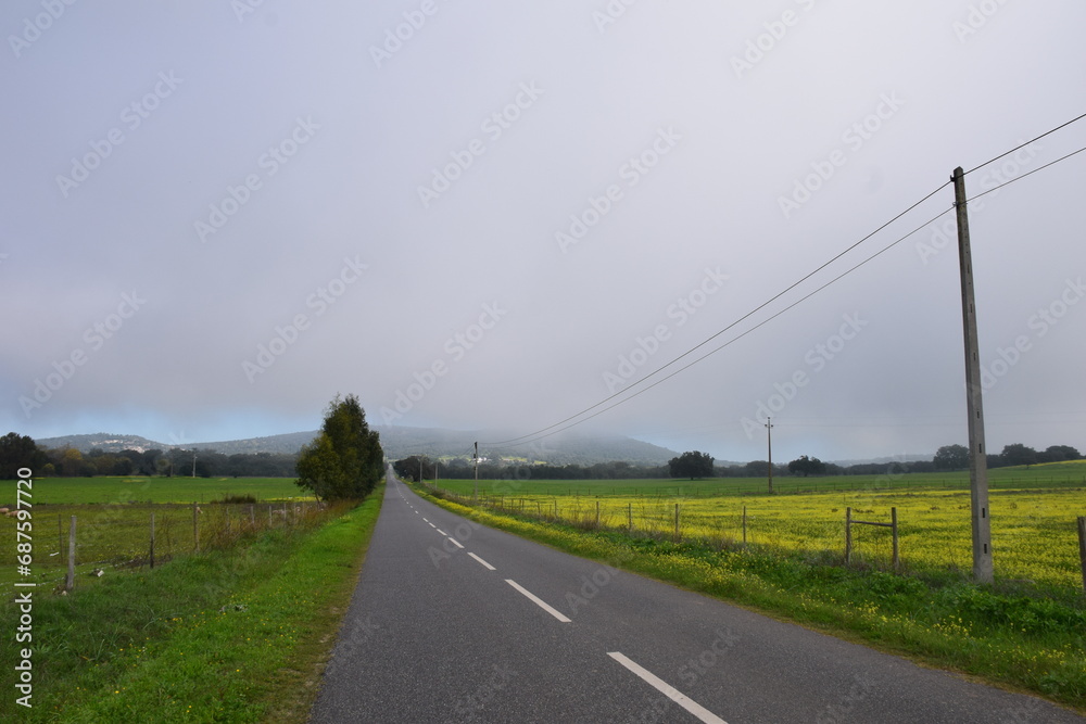 Fog dissapearing in the distance in a rural setting with a road with yellow flowers, south of europe Fog dissapearing in the distance in a rural setting with a road with yellow flowers, south of europe