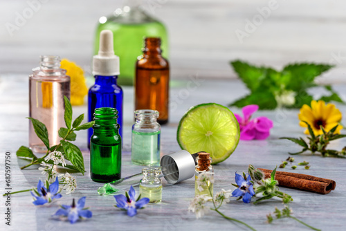 Alternative medicine, naturopath and dietary supplement. Herbal remedy in capsules and plants over WHITE background. photo