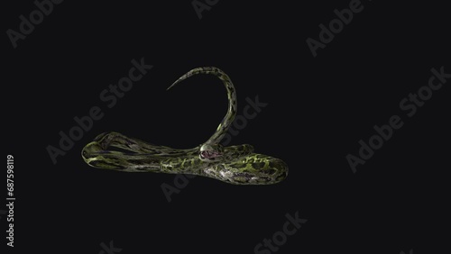 Green Snake on Ground - Close nonvenomous serpent, aggressively wriggling on a ground floor. Realistic 3D animation loop isolated on transparent background with alpha channel.