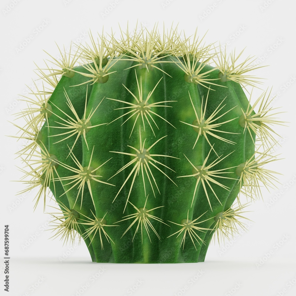 Realistic 3D Render of Golden Barrel Cactus Realistic 3D Render of Golden Barrel Cactus