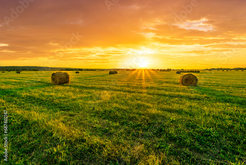 sunset field with green grass   hay stacks and beautiful cloudy sky on background of landscape