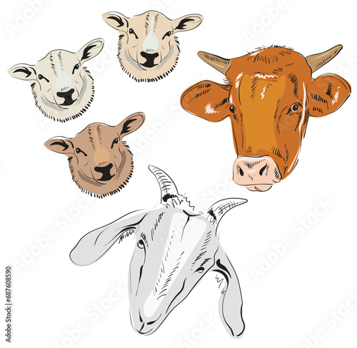 Dairy animal head portraits, set of stylized vector symbols of various shapes and colors. Sheep, cow and goat. For packaging, cards, textiles and decoration of dairy products.