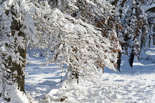 View of a Bavarian winter landscape with lots of snow, blue sky with clouds on a cold winter day