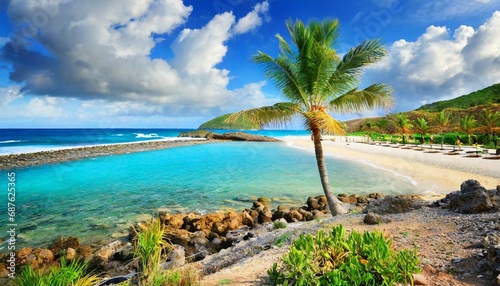 scenic coral beach with palm tree