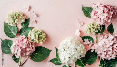 flowers composition hydrangea flowers on pastel pink background flat lay top view copy space