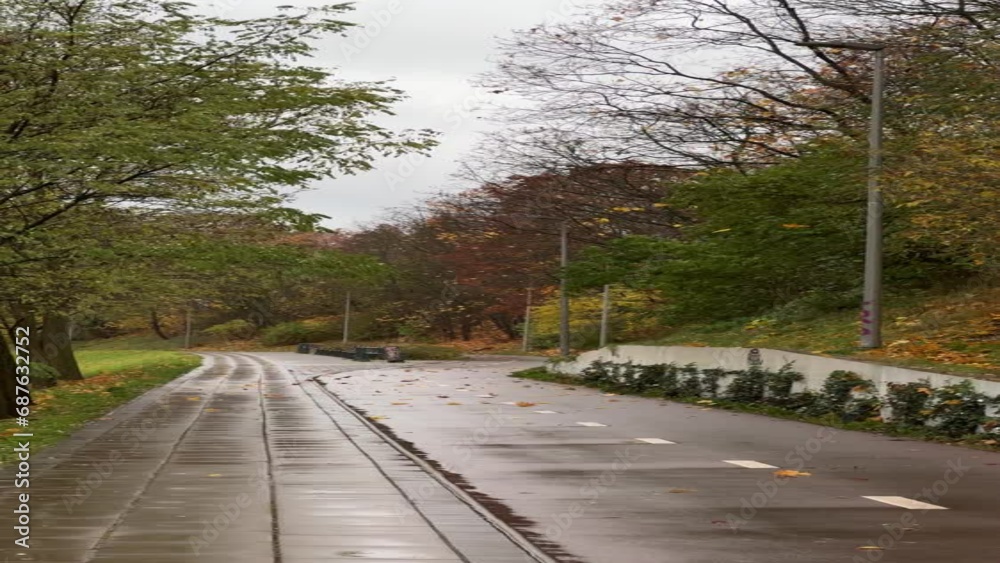 Leaves falling on bike path in autumn in Vilnius, Lithuania. Vertical video