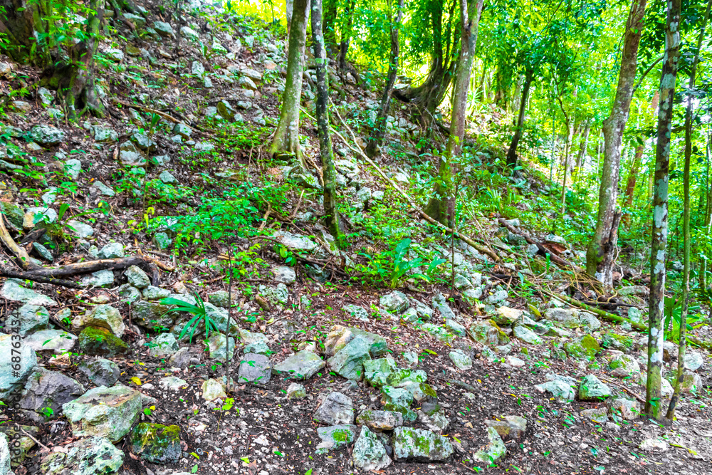Coba Maya Ruins ancient buildings pyramids in tropical jungle Mexico. Coba Maya Ruins ancient buildings pyramids in tropical jungle Mexico.