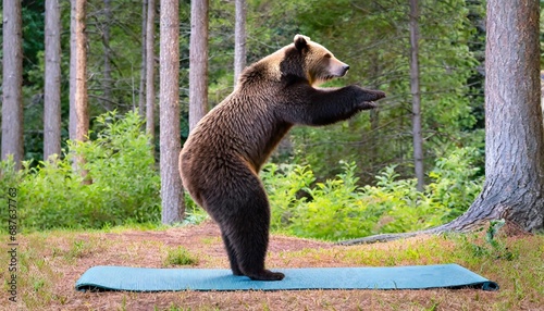 Grizzly Bear Doing Yoga on a Yoga Mat photo