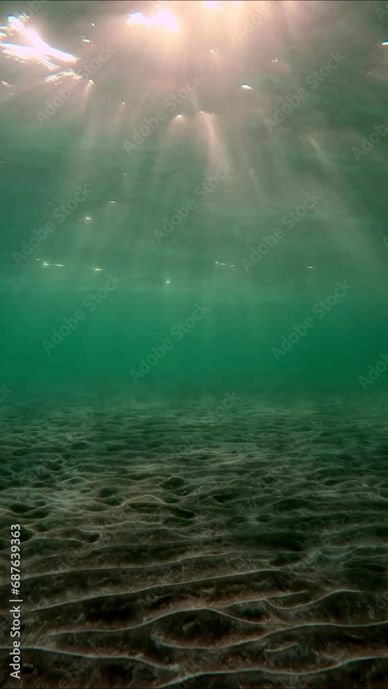 Vertical video, Low angle wide shot sun rays penetrating surface of water lie on sandy bottom at sunset. Slow motion, Underwater light creates beautiful veil, consisting of sunlight in evening time Vertical video, Low angle wide shot sun rays penetrating surface of water lie on sandy bottom at sunset. Slow motion, Underwater light creates beautiful veil, consisting of sunlight in evening time