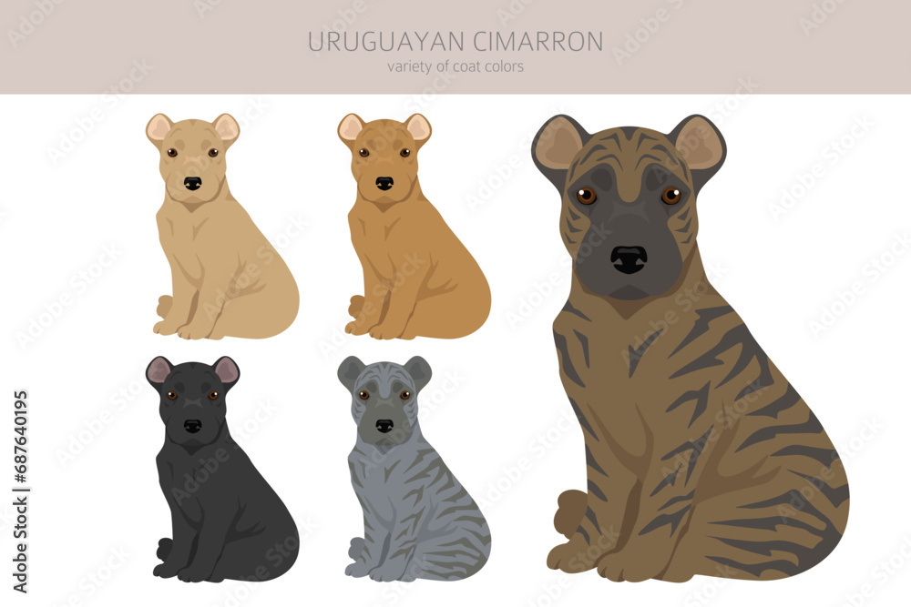 Uruguayan Cimarron puppy clipart. All coat colors set. All dog breeds ...