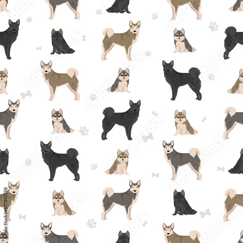 West Siberian Laika seamless pattern. All coat colors set.  All dog breeds characteristics infographic