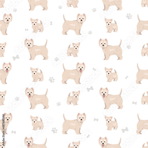 West Highland White Terrier seamless pattern. Different poses, coat colors set