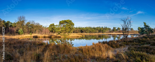 View over the Zevenboomsven lake in the Afferdense Duinen
