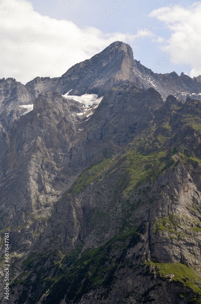 Fototapeta premium Pico de Wetterhorn desde Grindelwald, Cantón de Berna, Suiza