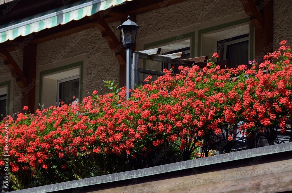 Grindelwald, Cantón de Berna, Suiza