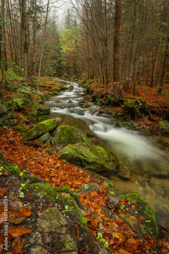 Ponikly creek with flood water after night rain in autumn morning