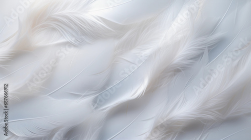 Soft Feathered Elegance - Gentle Lighting Accentuates a Monochromatic Feather Background