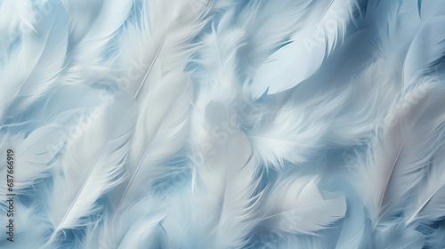 Soft Feathered Texture - A Monochromatic Background Illuminated with Gentle Light for a Soft, Dreamy Look