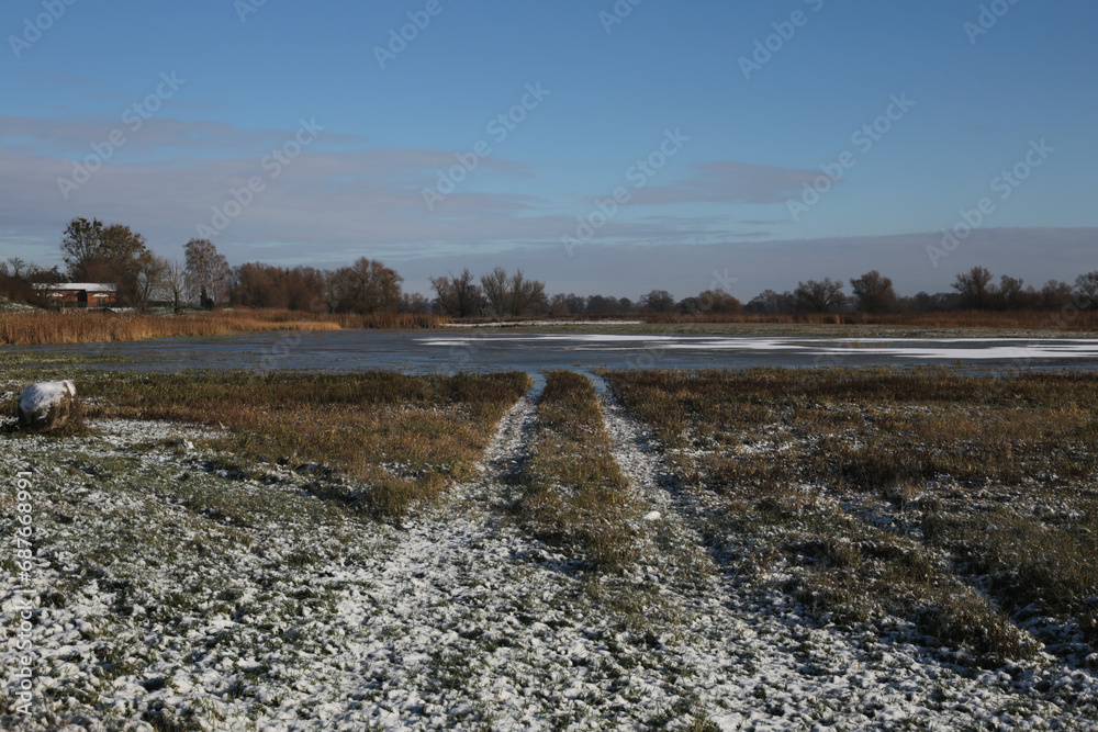 landscape with snow and trees at the Oder