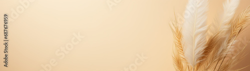 Elegant beige pampas grass plumes on a smooth beige background with ample copy space  evoking a serene and natural aesthetic. Boho style. Natural backdrop with pastel colors. Banner.