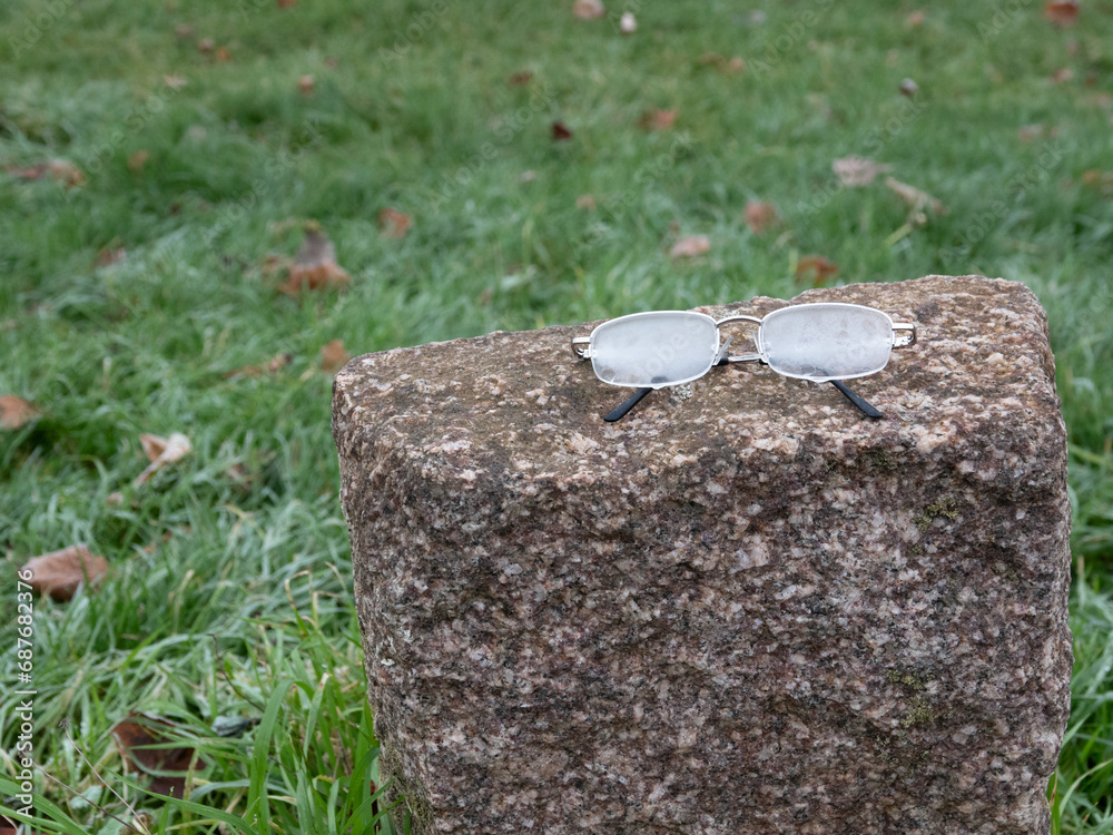 Lost glasses frozen on a rock