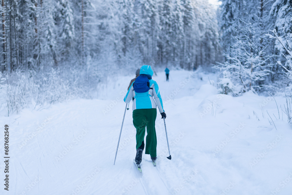 People ski in winter on a ski track through a winter forest.Cross Country skiing.