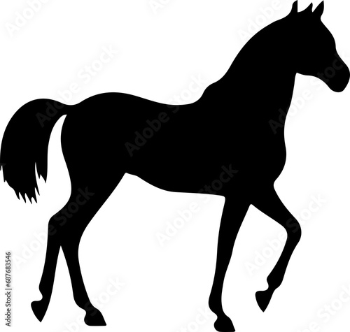 Horse silhouette isolated on white