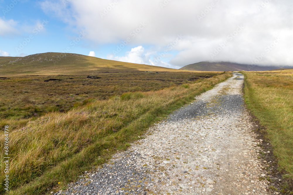 Irish farm road around bogs