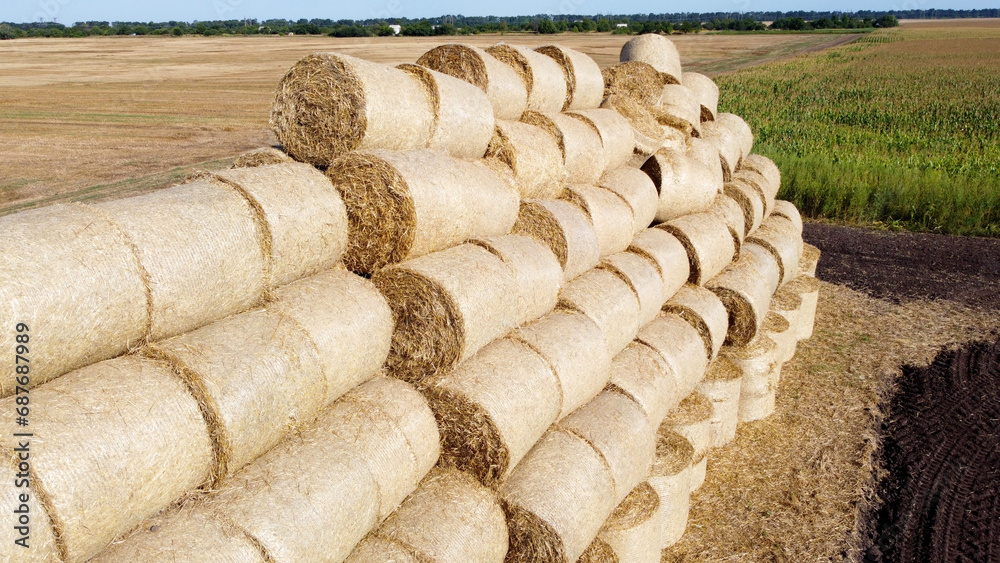 Many bales and rolls of straw after the harvest collected together on field on sunny autumn summer day. Agricultural agro-industrial agrarian landscape. Agribusiness agro business. Aerial drone view. Many bales and rolls of straw after the harvest collected together on field on sunny autumn summer day. Agricultural agro-industrial agrarian landscape. Agribusiness agro business. Aerial drone view.