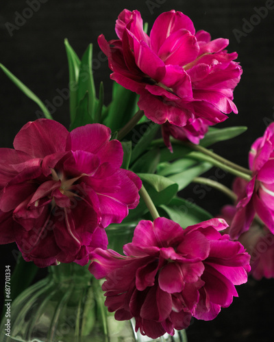 bouquet of dark red lilac tulips in glass vase on dark background. flower bouquet in vase on table. Gift interior decoration. florist, decorator. Flower shop. © MyJuly