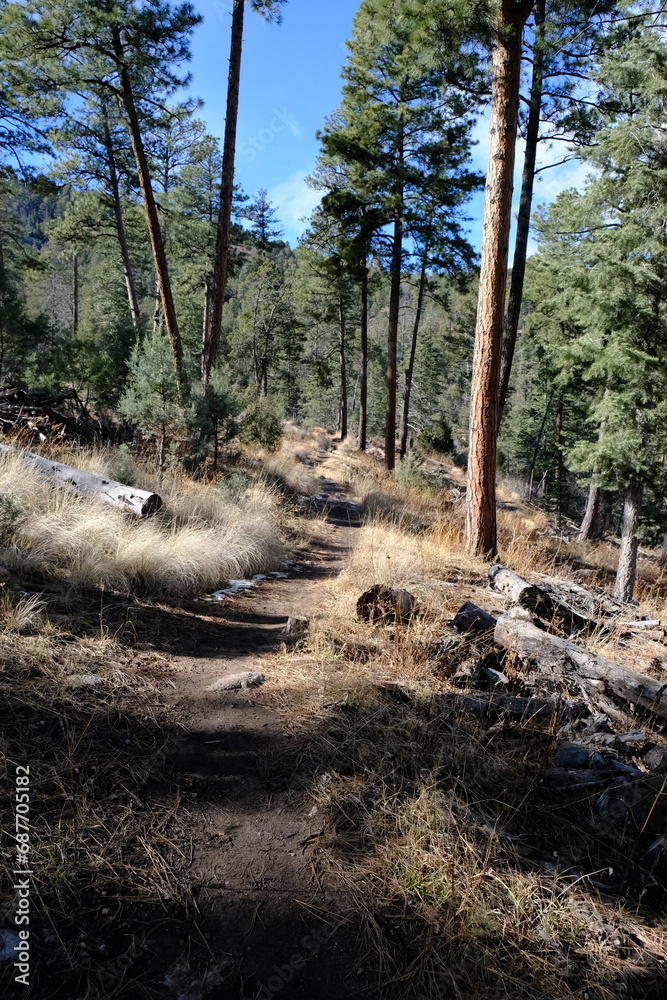 Lincoln National Forest in New Mexico Lincoln National Forest in New Mexico