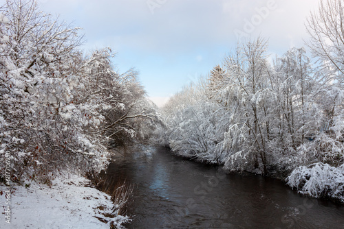 Snow-covered trees on the shore of fast flowing river in winter