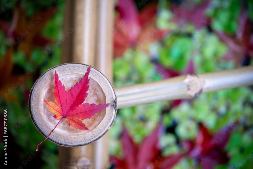 紅葉と和風ビオトープ 日本のつくばい 紅葉と和風ビオトープ 日本のつくばい