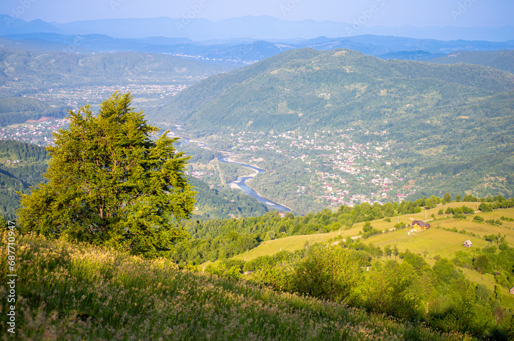 Obraz premium Carpathians mountains landscapes from green meadow on sunset, Apetska mountain, Ukraine