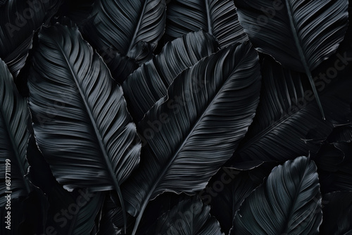 black leafs background photo