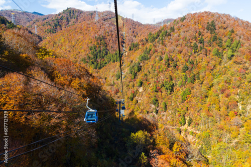 日本の風景　新潟県湯沢町　苗場ドラゴンドラの紅葉 photo