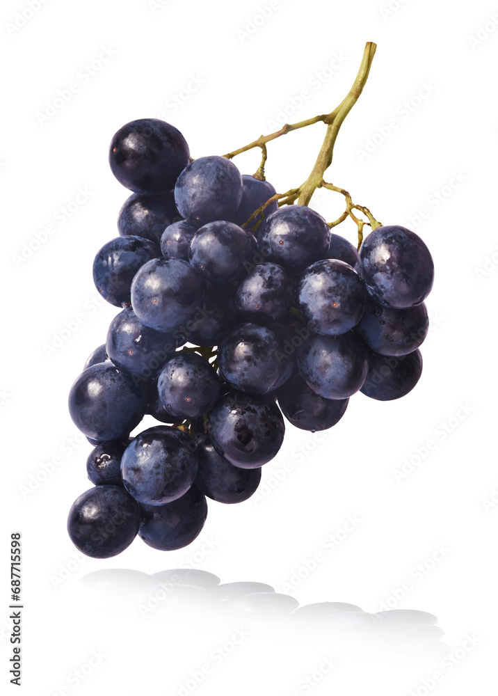 Fresh organic Blue Grape falling in the air isolated Fresh organic Blue Grape falling in the air isolated