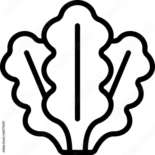 Lettuce Salad Leaves Icon
