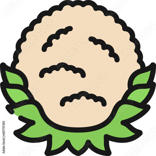 Cauliflower Head Vegetable Icon