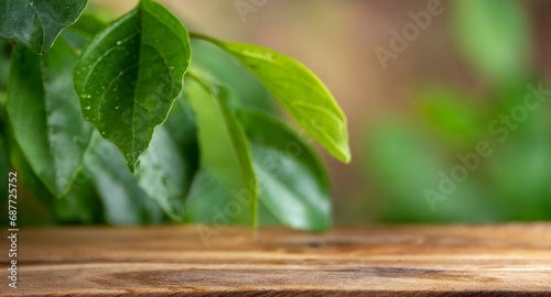 Wooden shelf with leafs background  with copy space